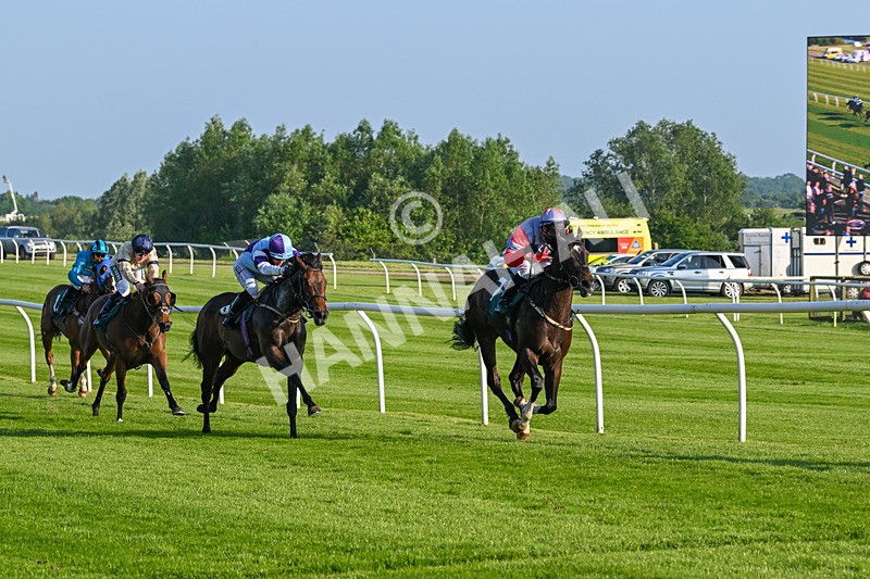 310524-Race 2-Dandy Fitz-8489 - Race 2