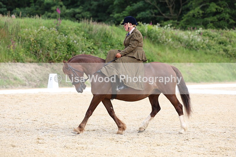 3E7A1635 - Class 2: Intro 2 2024 Section B