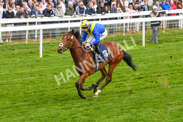 yr12052022r4-38 - Race 4 3.35pm Al Basti Equiworld Dubai Dante Stakes