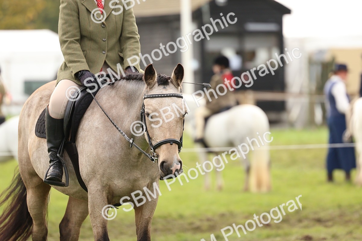 SBM_56667 - S40 - Starters Ridden Showing