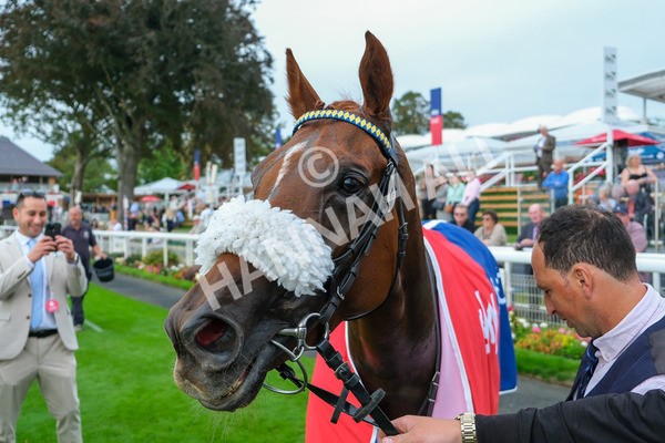 080925-Race 3-Rock N Roll Pinkie-8691 - Race 3 3.30pm Skybet Proud To Support ROR Stayers Handicap