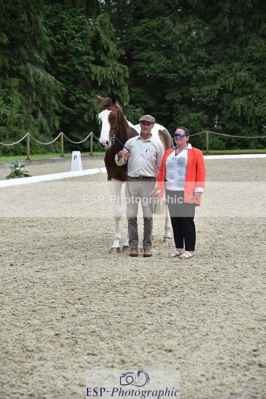 230812-144758-04879 - Novice Silver Presentations