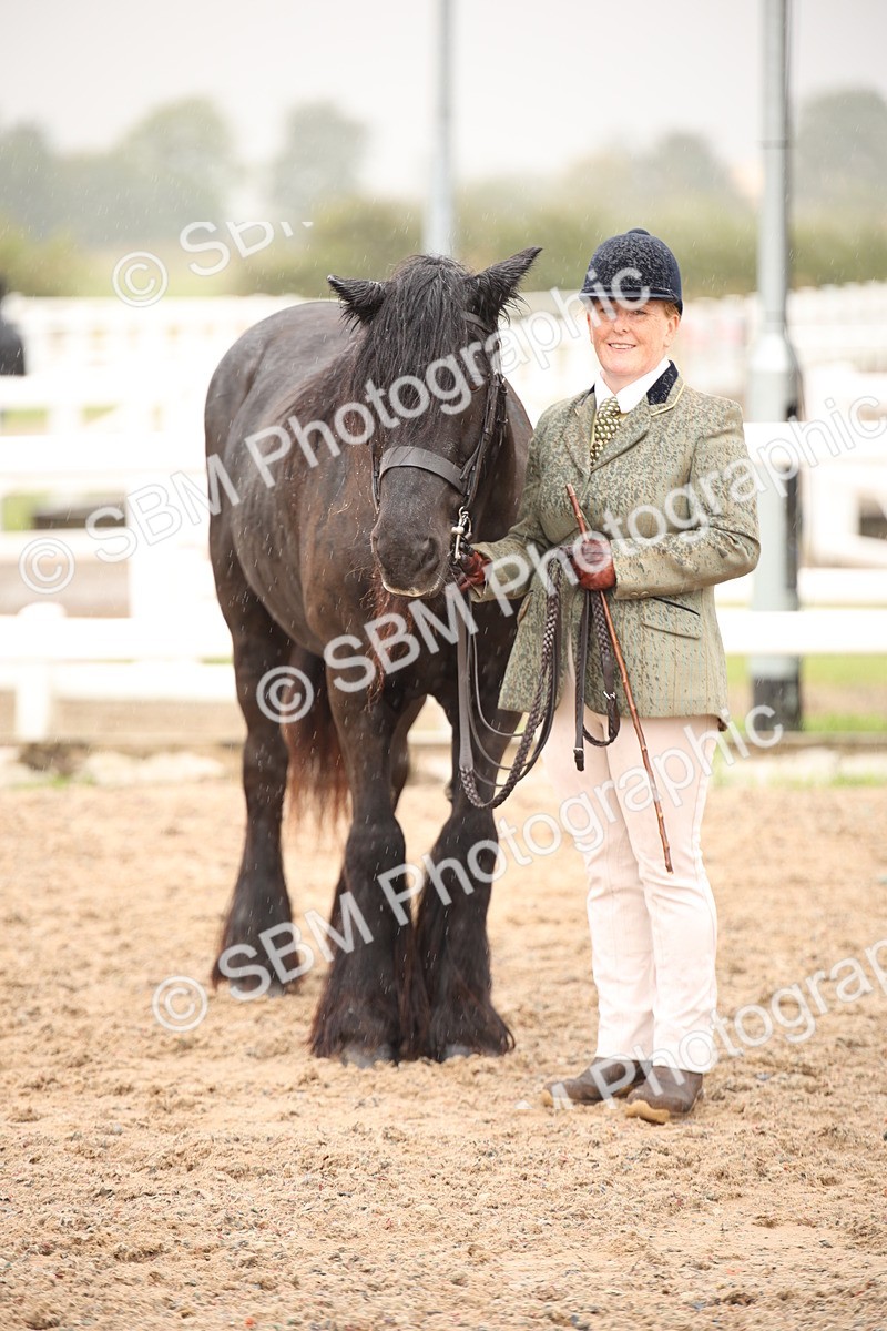 SBM_20689 - Class 705 - IH  Combination 65+