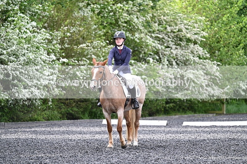 WJ7_8124 - Time 10:11 to 10:27