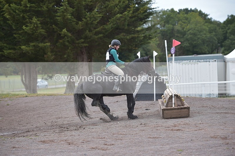 NGP_2824 - XC Time 11:37 to 11:57