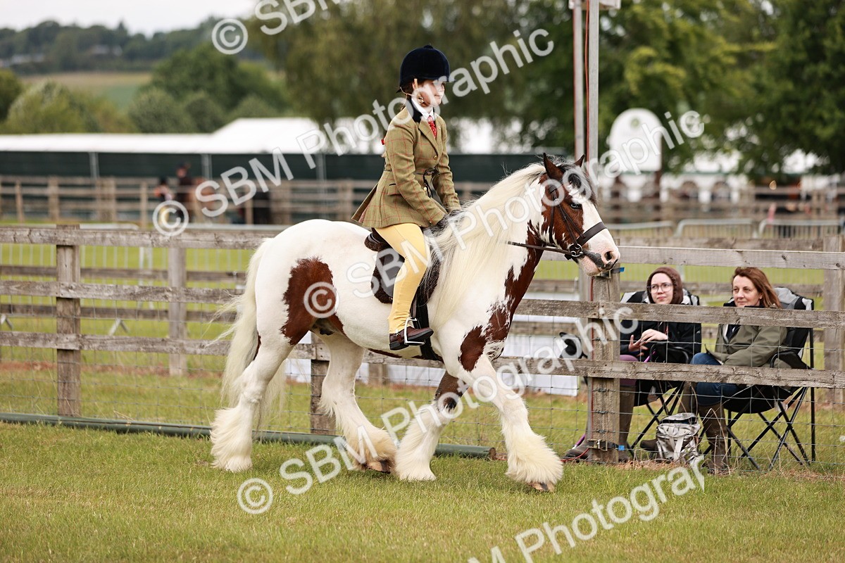 SBM_06093 - Class 39-41 TGCA In Hand and Ridden