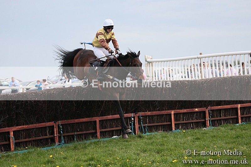 PtP 210418 227 - South & West Wilts Point-to-Point Larkhill 21/04/18