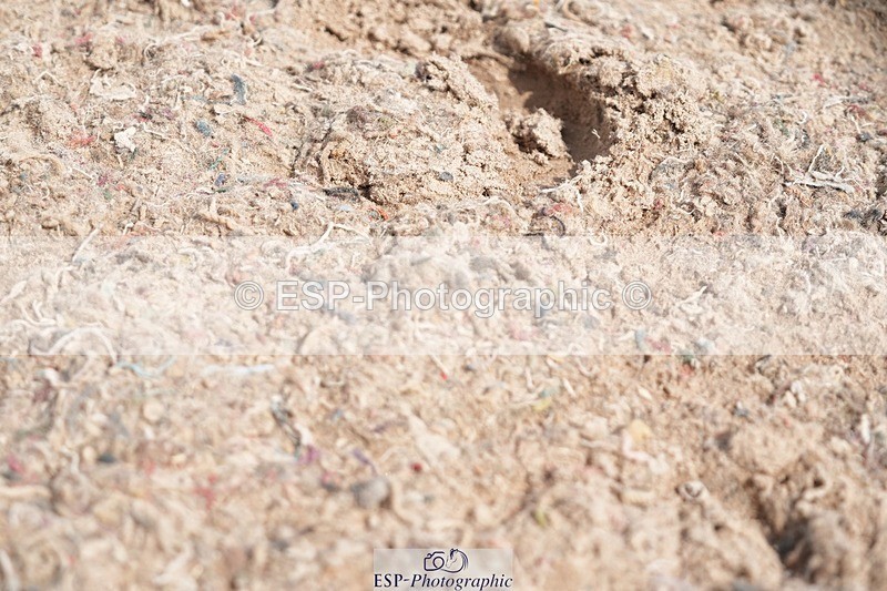 250803-152014-14272 - Cls 28 International Trial Jump Off and Presentations