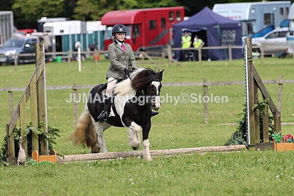IMG_2385 - Working Hunter
