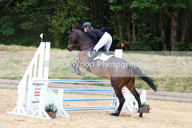 3E7A6110 - Class 4: Senior British Novice/90cm open