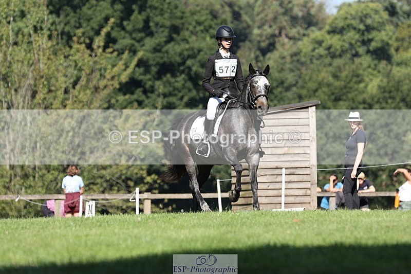 250823A-101822-26813 - Arena D