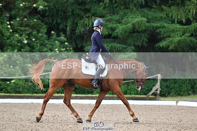 250523A-095300-05383 - C-260-Georgie.Frow-RIVERSTOWN.ROYAL