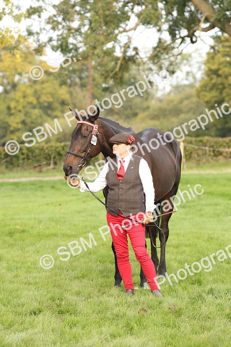 SBM_54700 - S53 - Hunter In Hand