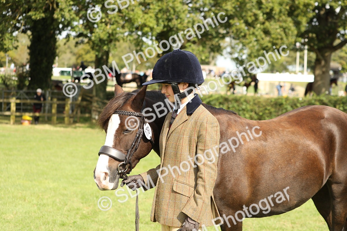 SBM_68633 - S40 - Junior Handler 9-12 Years