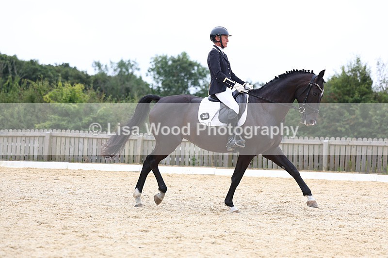 3E7A7254 - Class 9: Elementary 4 2024 - No sections