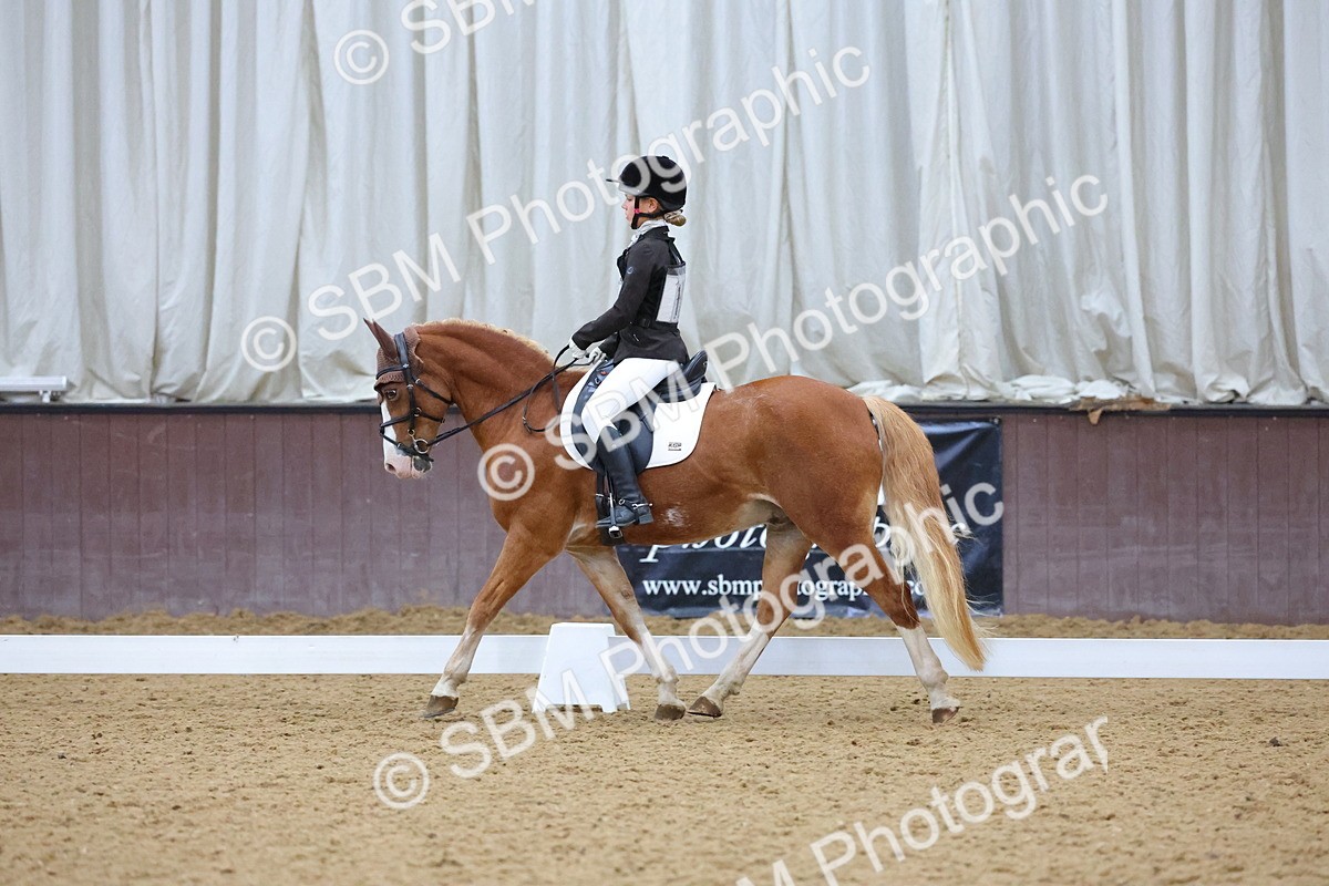 SBM_004194 - Intermediate