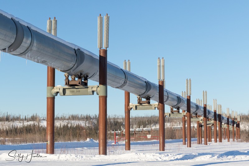 Alaskan Pipeline
