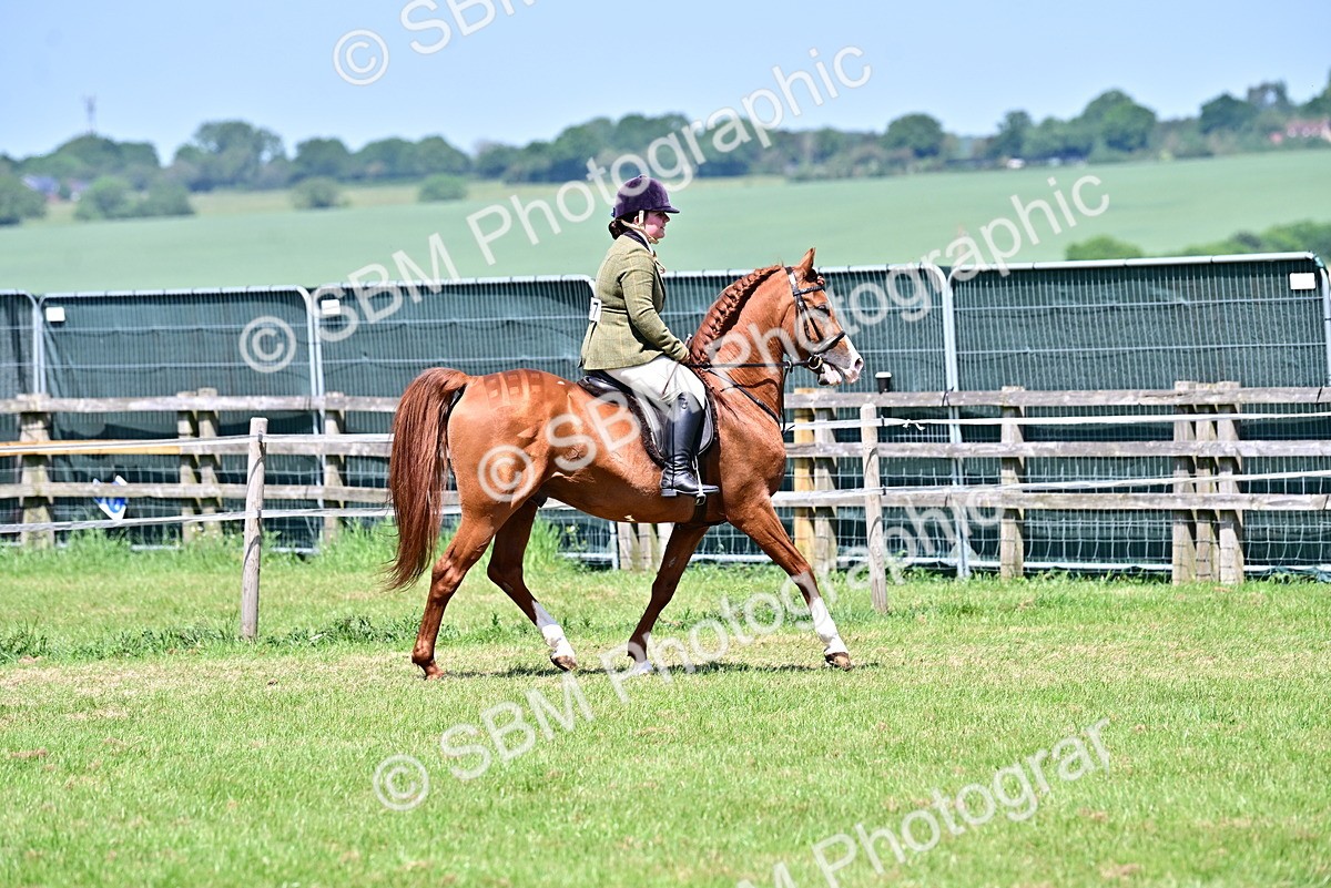 SBM_17452 - Class 95-97 - BSPS LHS Performance Ponies