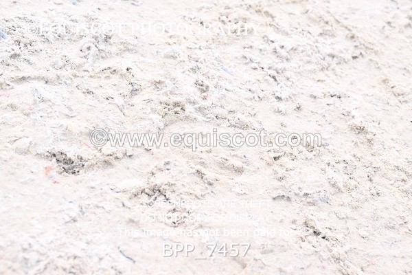 BPP_7457 - RING 1  (RIDDEN HORSES / IN HAND / VETERAN ETC)