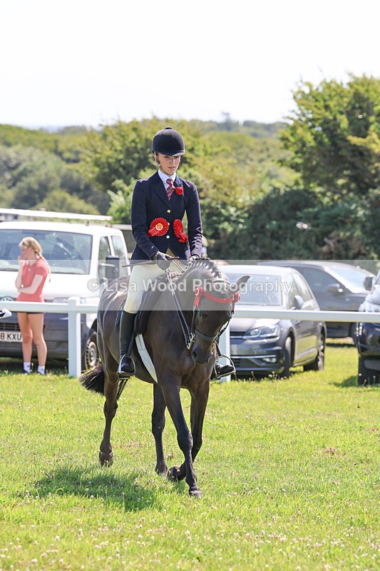 IMG_2136 - Plaited Ridden Championship