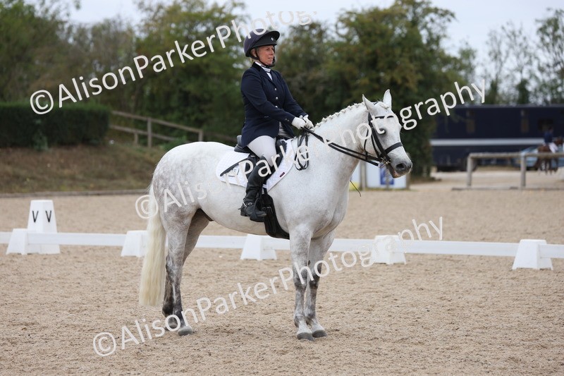 20250820-1143 - Class 17 - Elementary 4