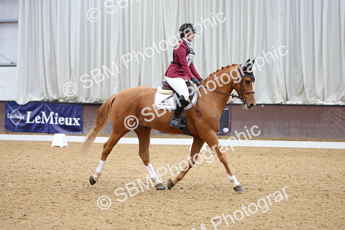 SBM_002630 - Novice