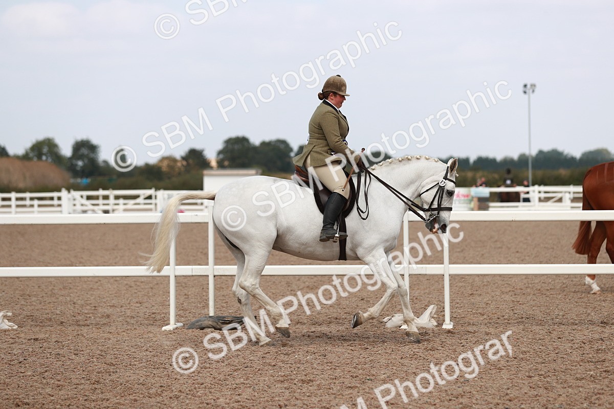 SBM_14937 - Class 212 Ridden Hunter - Small