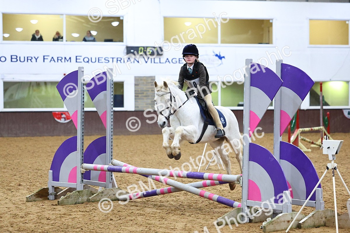 SBM_001235 - Class 3 - Christmas Tree Stakes - 60cm