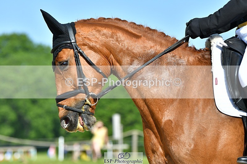 230525-093135-03760 - 406-COOLEY_FOXTROT-Andrew_Downes-DR