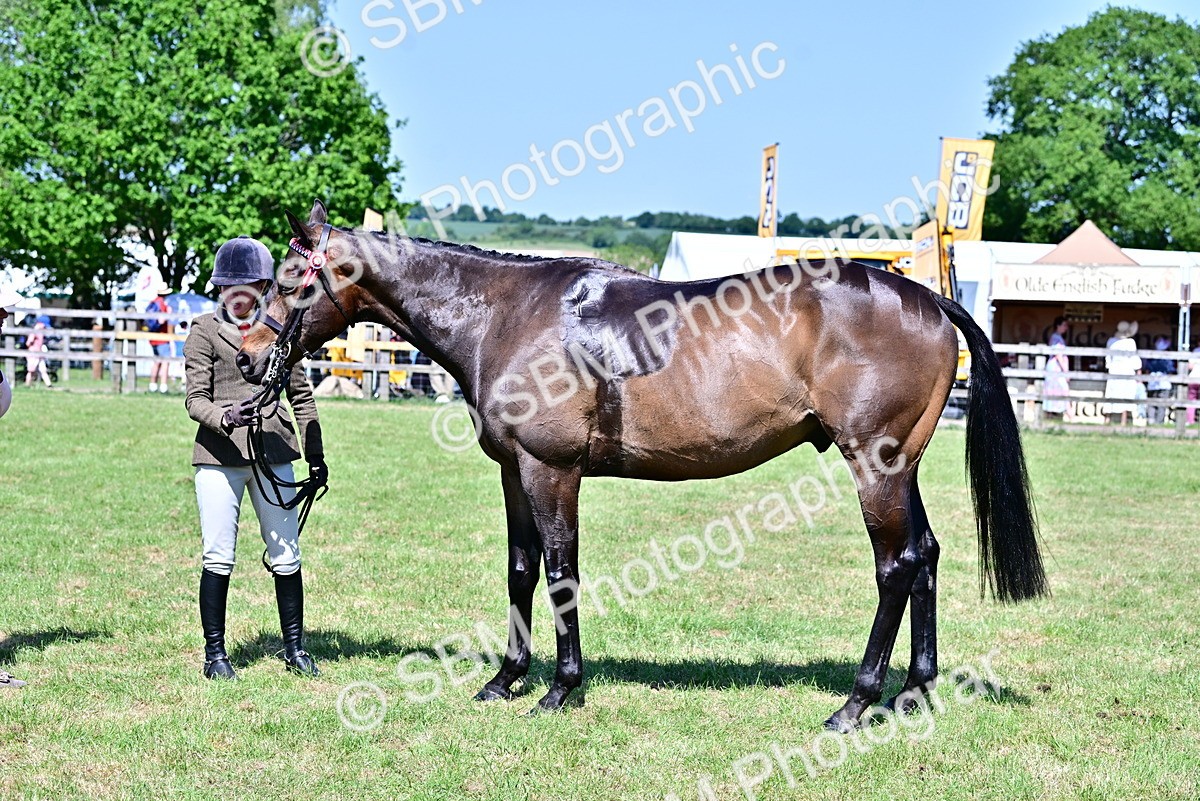SBM_18235 - Class 99-100 - Retraining of Racehorses Ridden