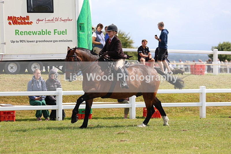 3E7A9770 - Class 5: Rising Star Lightweight/Heavyweight Cobs