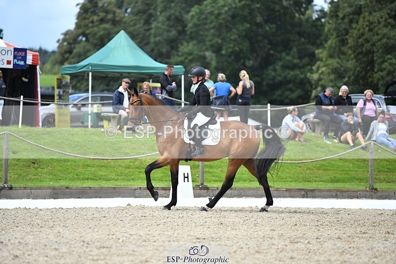 230812-130940-04279 - Cls 6 Novice Silver 12.10 to End