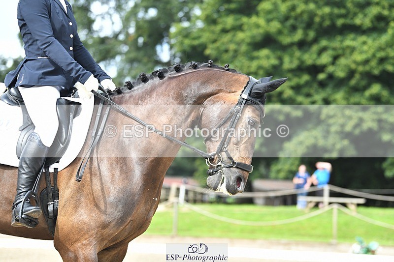 230812-104545-03464 - Cls 6 Novice Silver 10.30 to 11.55 break