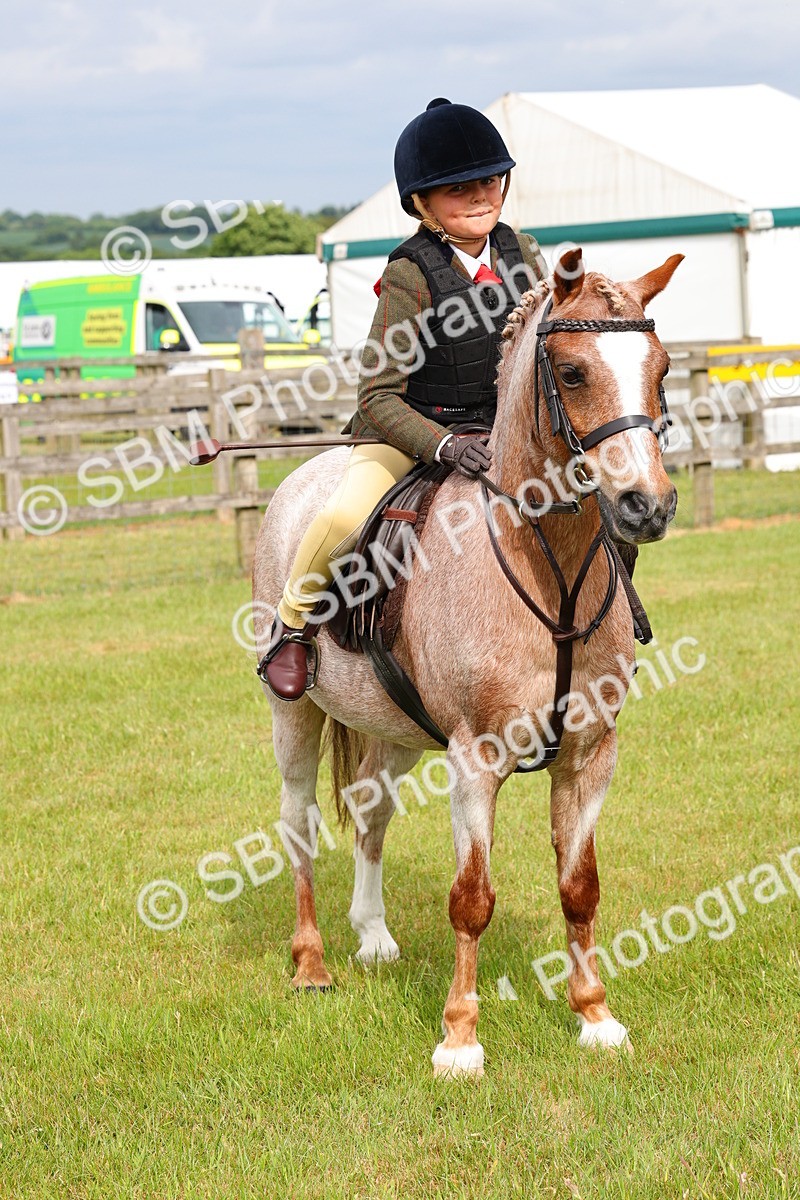SBM_09677 - Class 44-45 - LIHS BSPS Open Nursery and Cradle Stakes