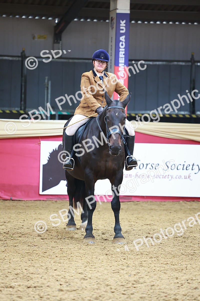SBM_09845 - Class 102 - HOYS Veteran Qualifier - Ridden Veteran
