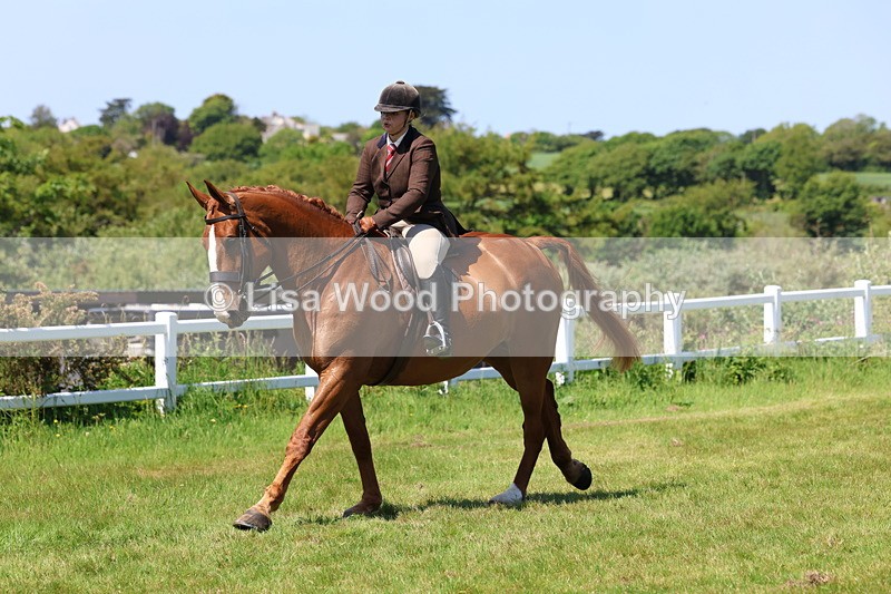 3E7A8362 - Class 13: Ridden Hunter