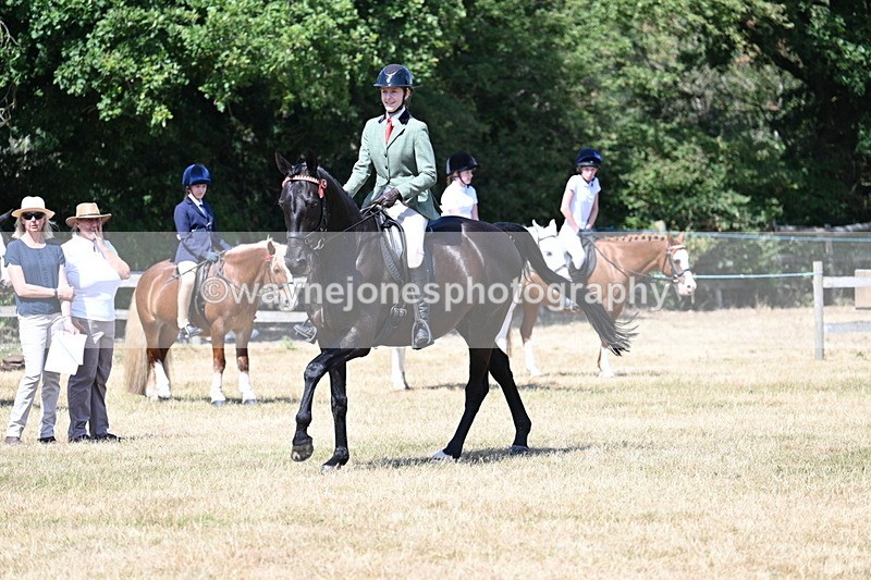 WJ7_3573 - Class 8 Ridden Veterans