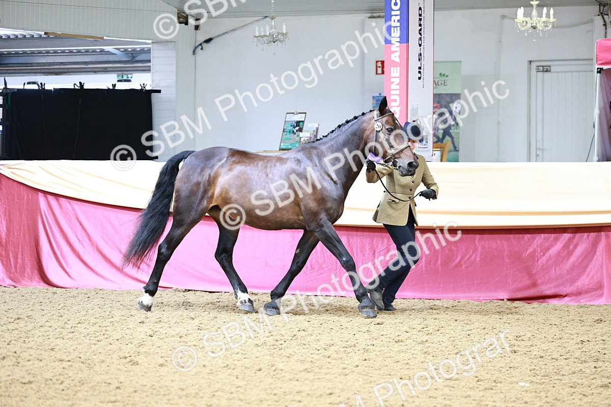 SBM_00912 - Class 2A - Area IH Veteran