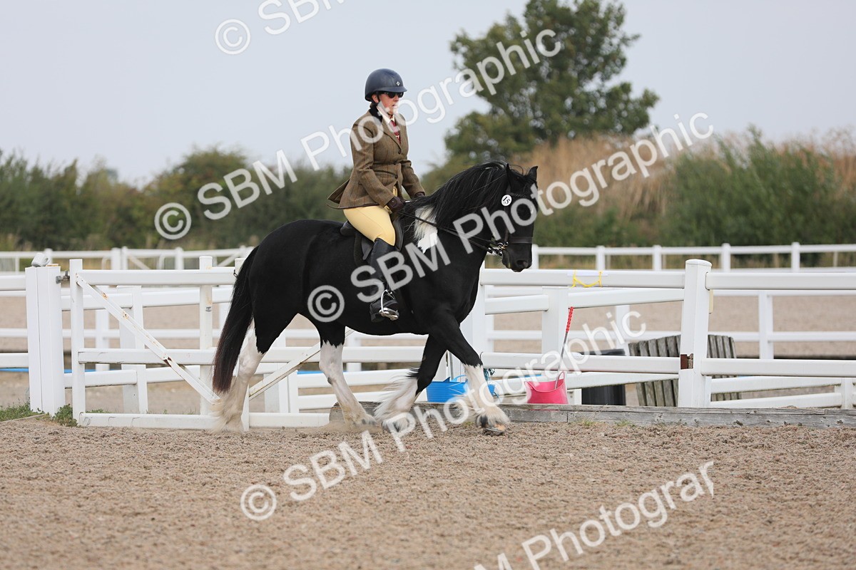 SBM_12682 - Class 307 Ridden Coloured Pony