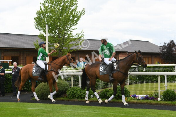 yr22052022r8e-2 - ROR - Parade Ring York
