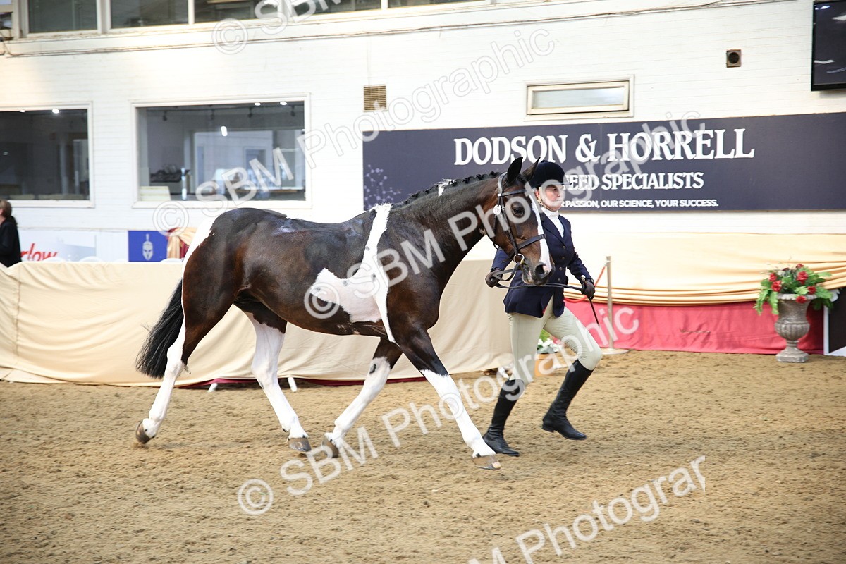 SBM_24784 - Class 906 - Supreme Final - Ridden Pre Vet