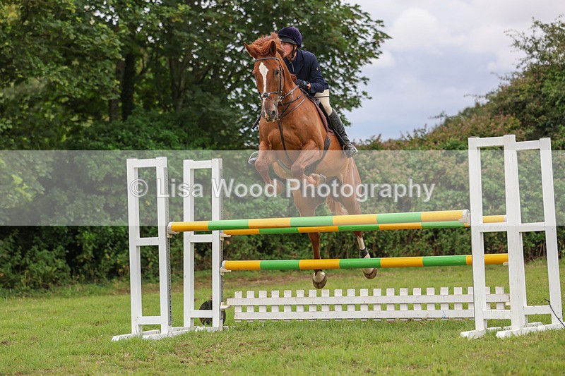 3E7A8041 - Class 7: Senior Newcomers/1.10m open