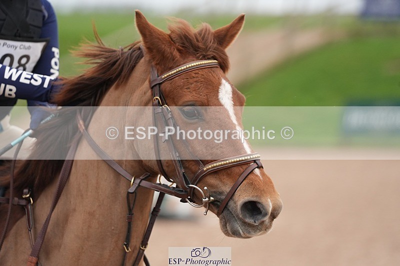 260131PC-112059-01561 - Cls 2 80cm