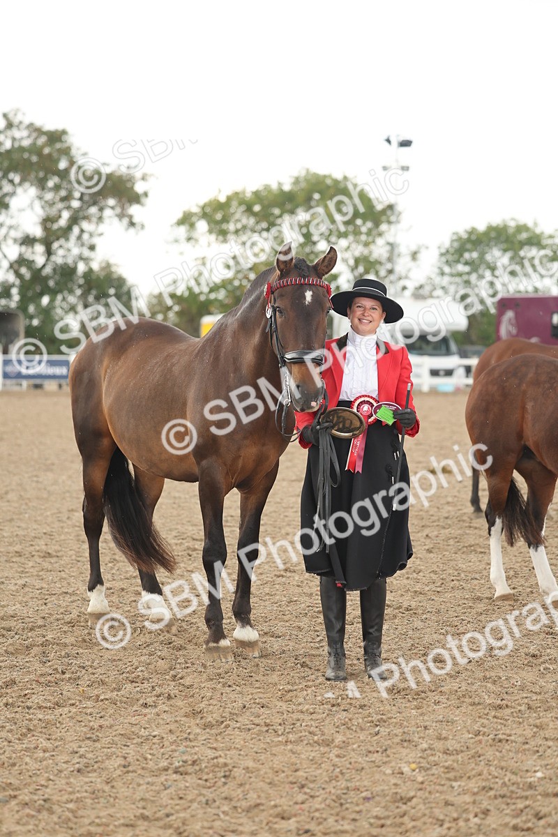 SBM_07701 - Class 26 - IH Foreign Breeds - Part Bred