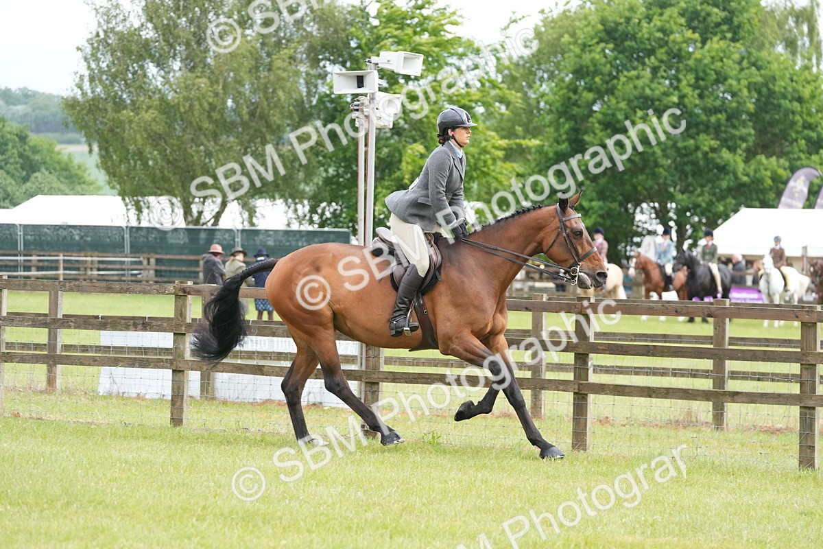 SBM_12729 - Class 97-98 - LIHS BSHA Rising Star Working Show Horse Hunter