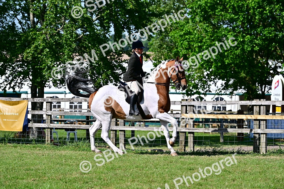 SBM_19489 - Class 101-102 - BSPS LIHS Performance Coloured Horse/Pony