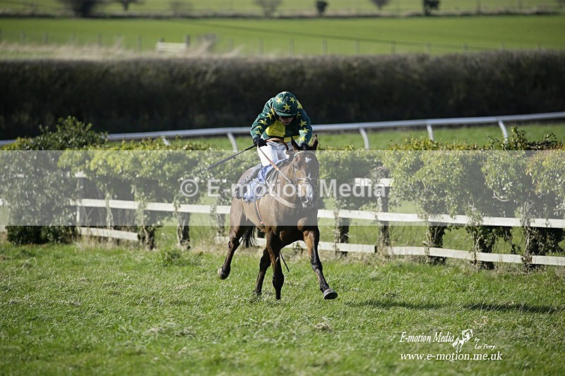 PtP 260222 104 - Kingston Blount Racing Club Point-to-Point 26/02/22