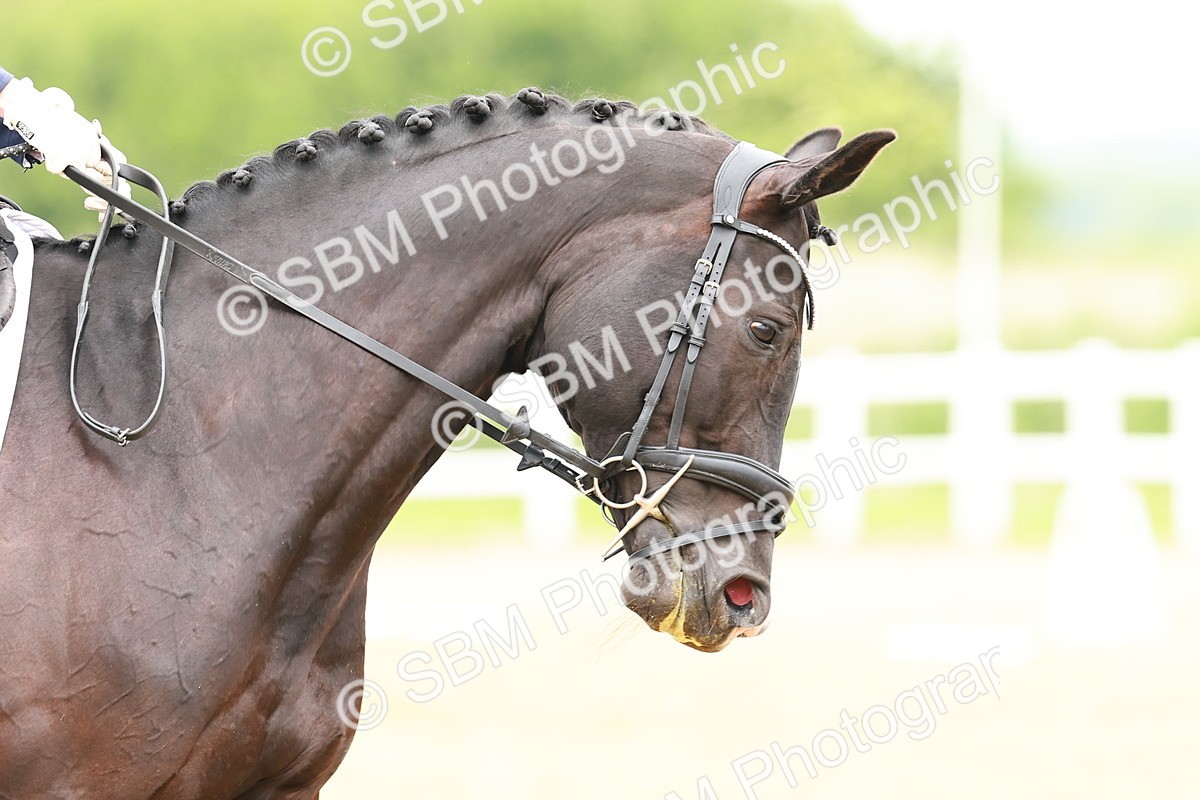 SBM_000574 - Class 4 - Prelim 5