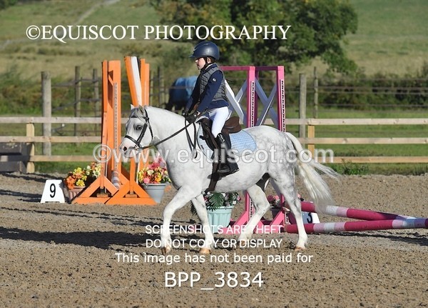 BPP_3834 - CLASS 0 Clear Round Show Jumping