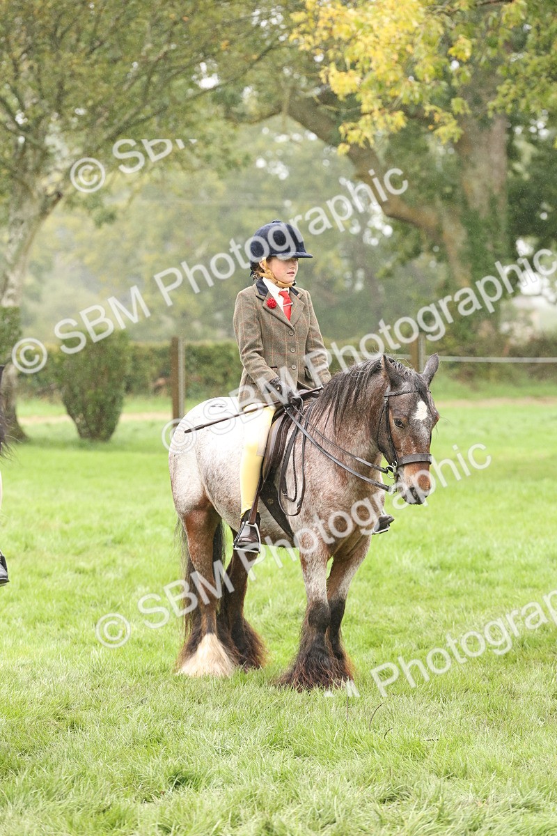 SBM_72771 - S70 - Traditional Cob Ridden